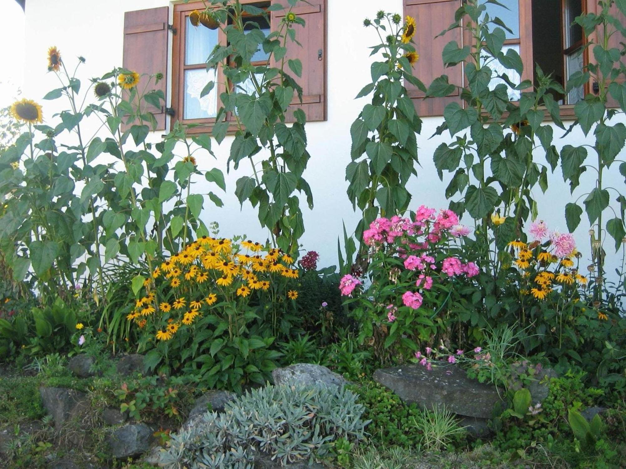 Apartment In The Allg U With View Of The Bavarian Alps Bernbeuren Exterior foto